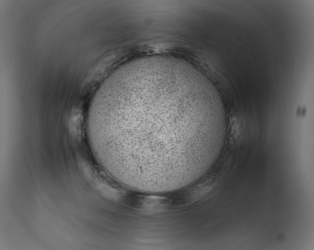 X0000111490222200907281235