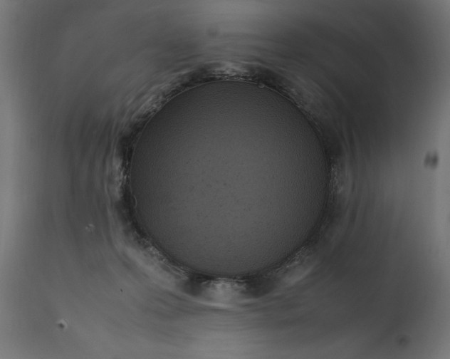 X0000111490223200907281235