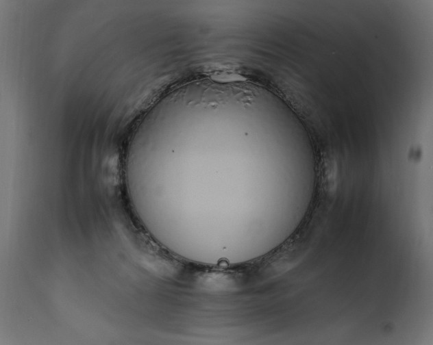 X0000111490224200907281235