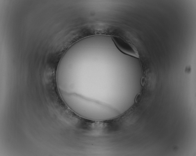 X0000111490225200907281235