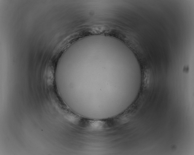 X0000111490226200907281235