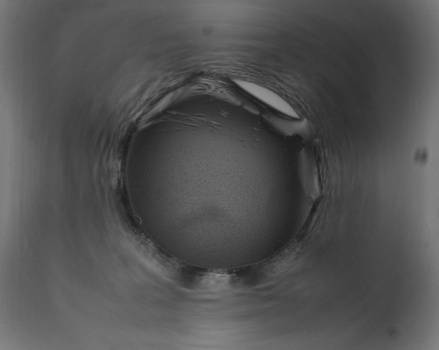 X0000111490227200907281235