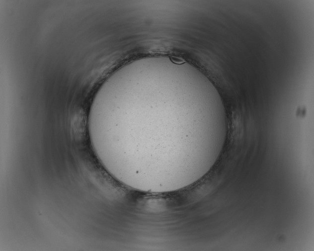 X0000111490228200907281235