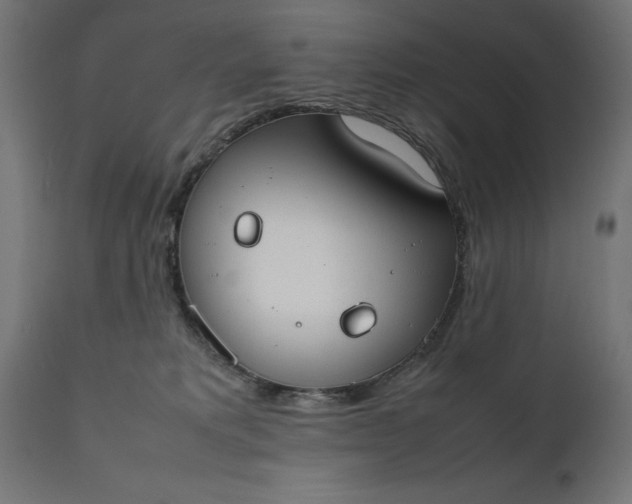 X0000111490229200907281235