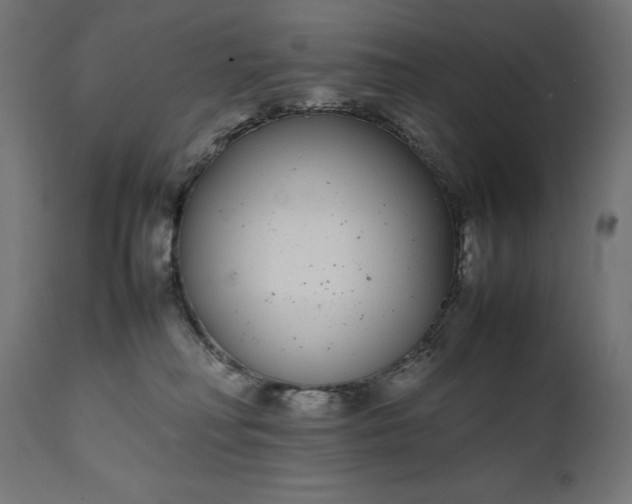 X0000111490230200907281235