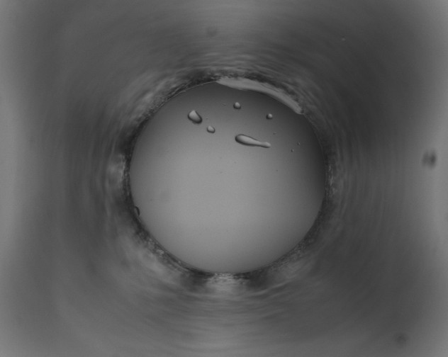 X0000111490231200907281235