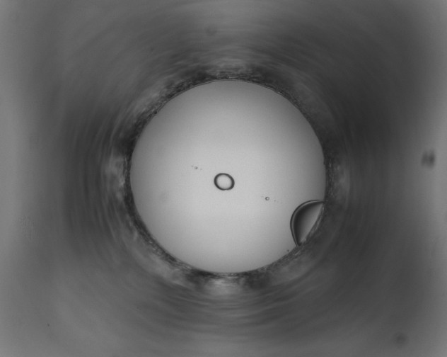 X0000111490232200907281235