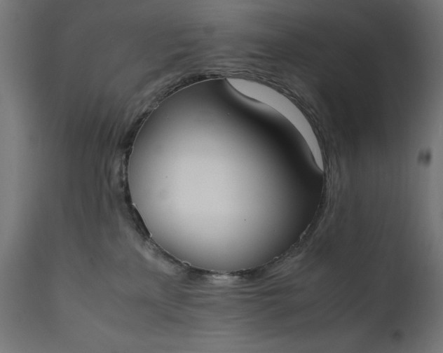 X0000111490233200907281235