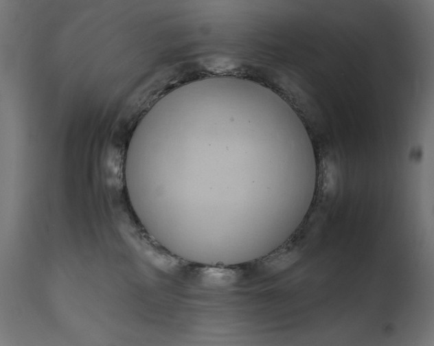 X0000111490234200907281235