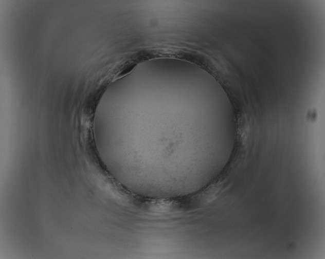 X0000111490235200907281235