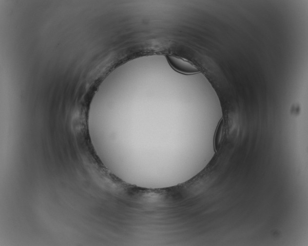 X0000111490236200907281235