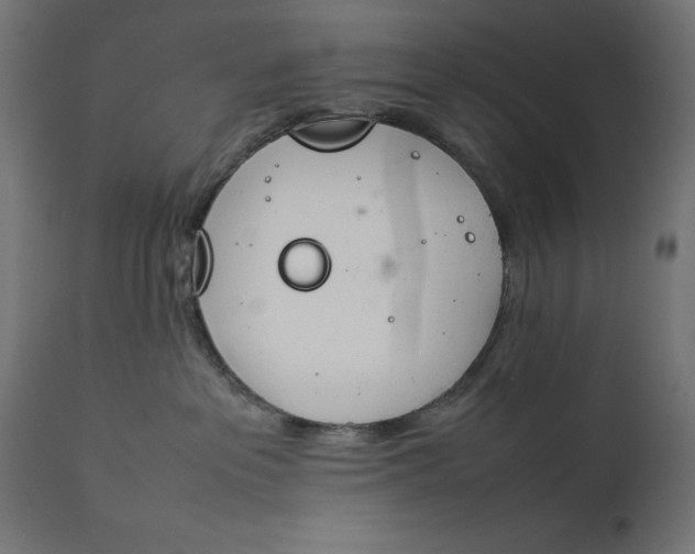 X0000111490237200907281235