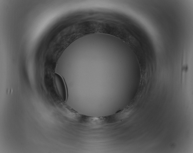 X0000111490239200907281235