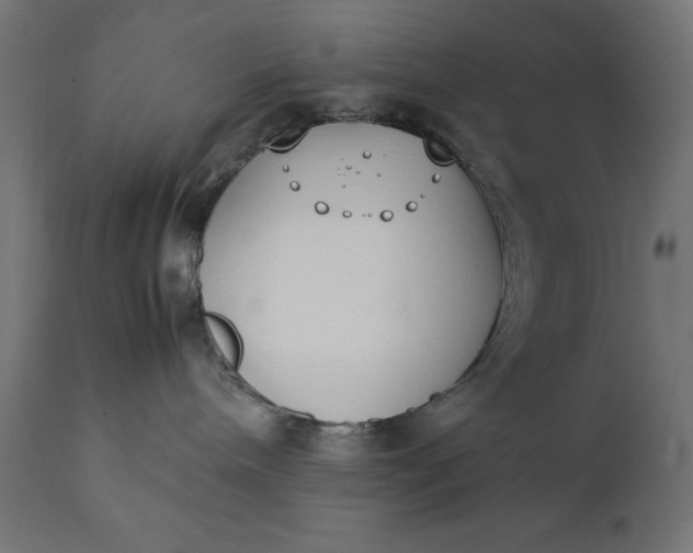 X0000111490240200907281235