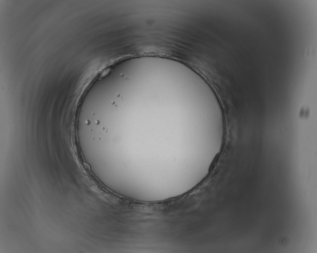 X0000111490241200907281234