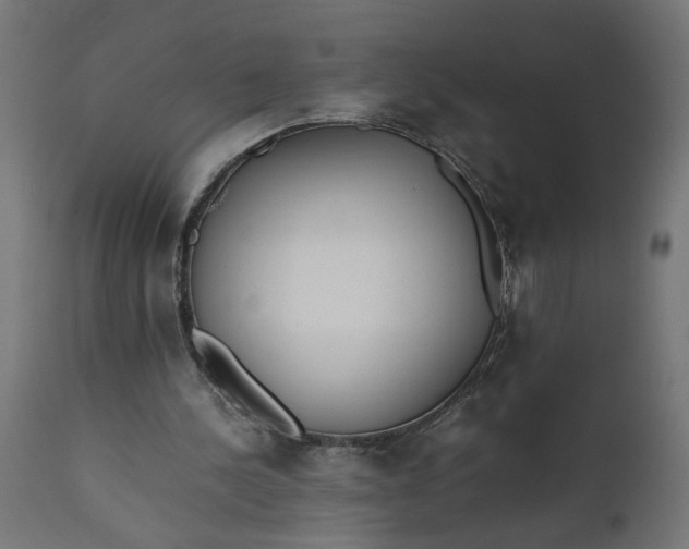 X0000111490244200907281234