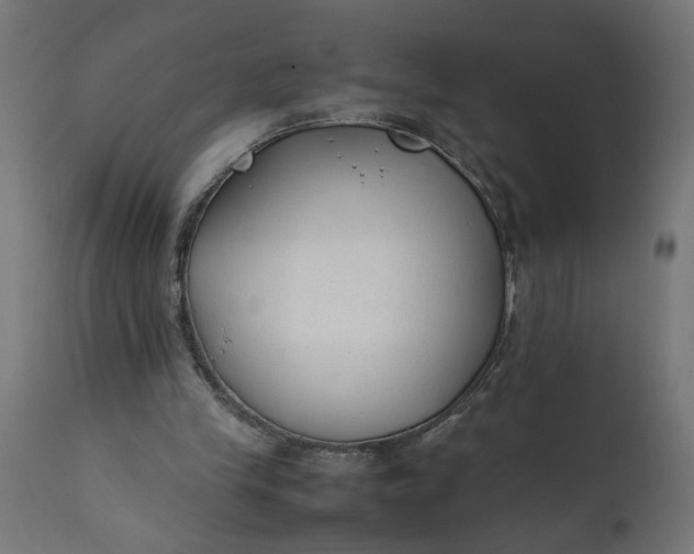 X0000111490245200907281234