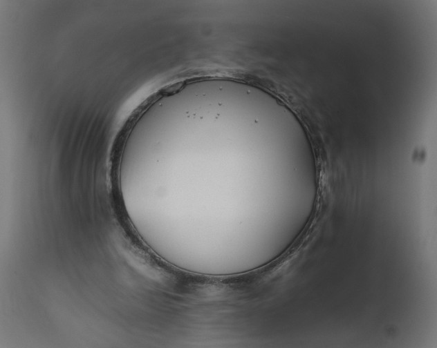 X0000111490246200907281234