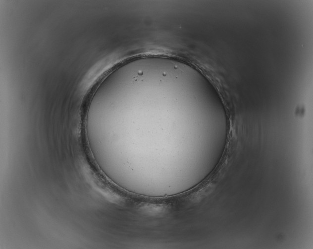 X0000111490247200907281234