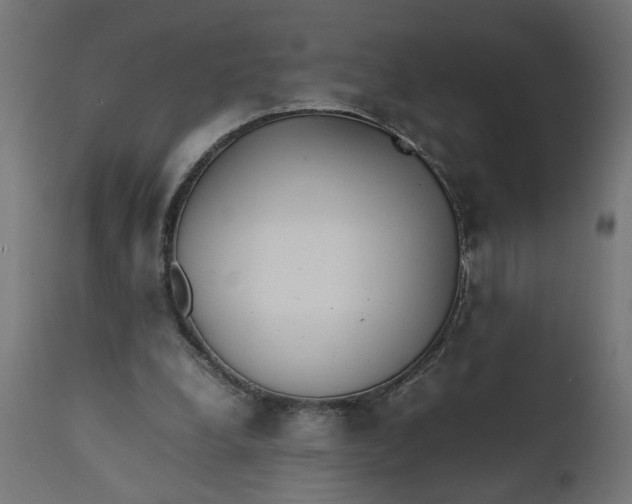 X0000111490248200907281234