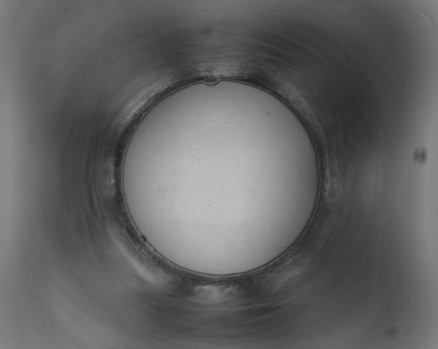 X0000111490251200907281234