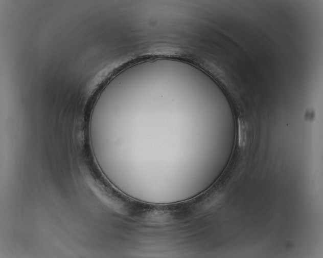 X0000111490252200907281234