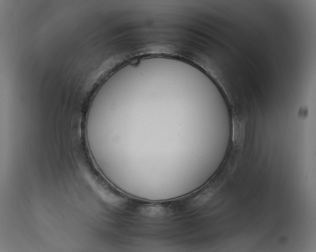 X0000111490253200907281234