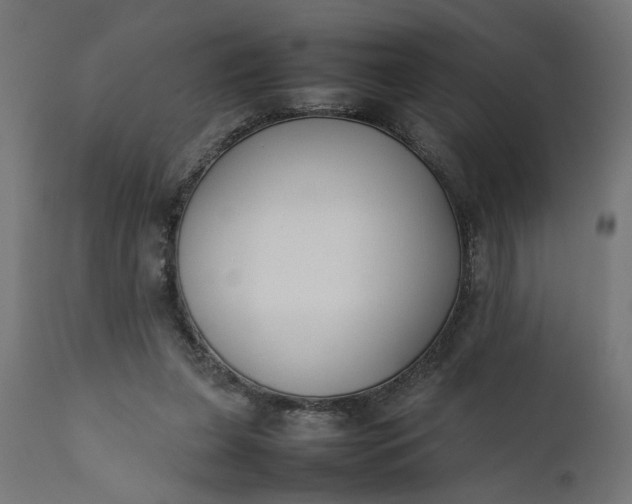 X0000111490255200907281234