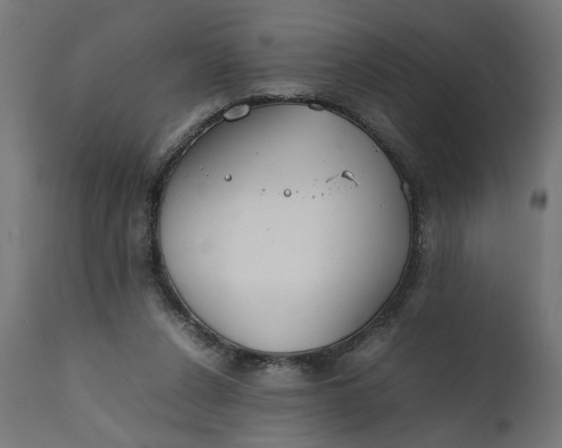 X0000111490256200907281234