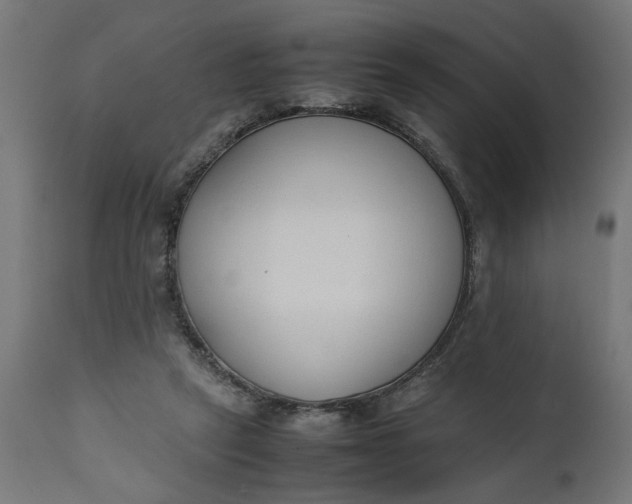 X0000111490257200907281234