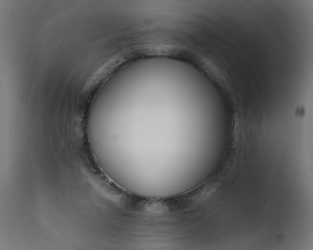 X0000111490258200907281234