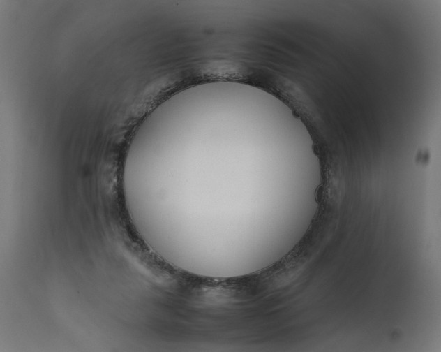 X0000111490259200907281234