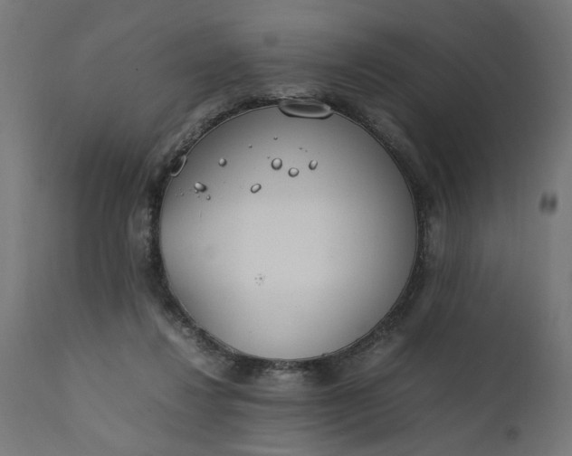 X0000111490260200907281234