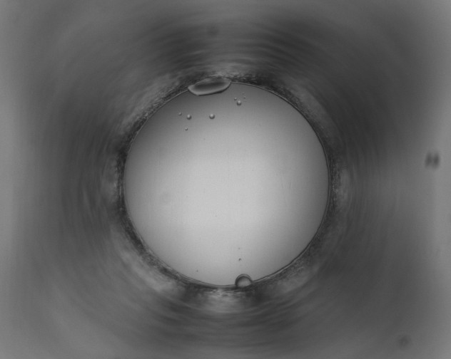 X0000111490261200907281234