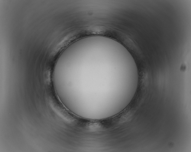 X0000111490262200907281234