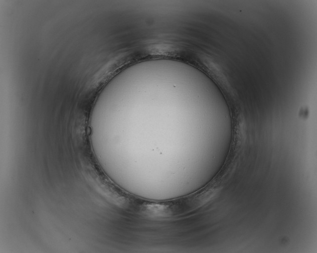 X0000111490265200907281234