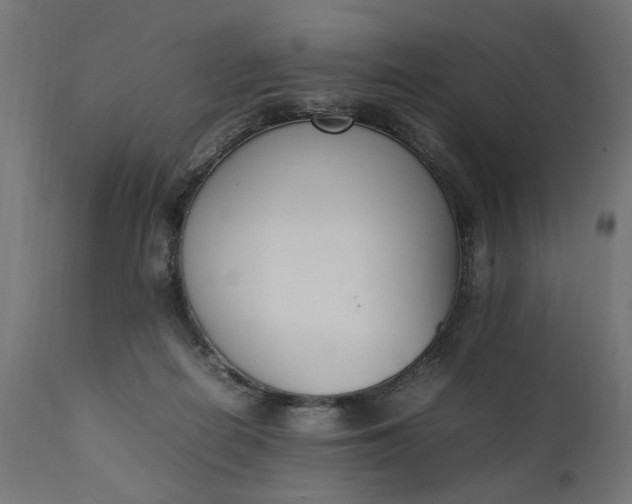 X0000111490266200907281234