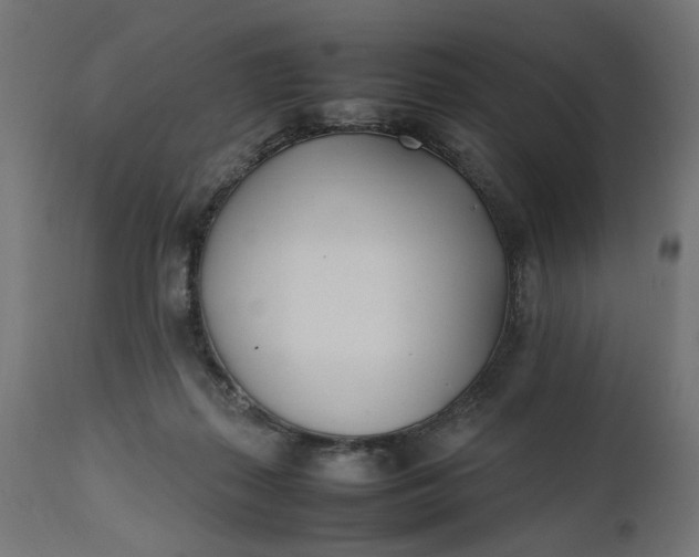 X0000111490267200907281234