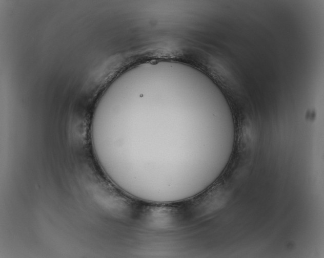 X0000111490268200907281234