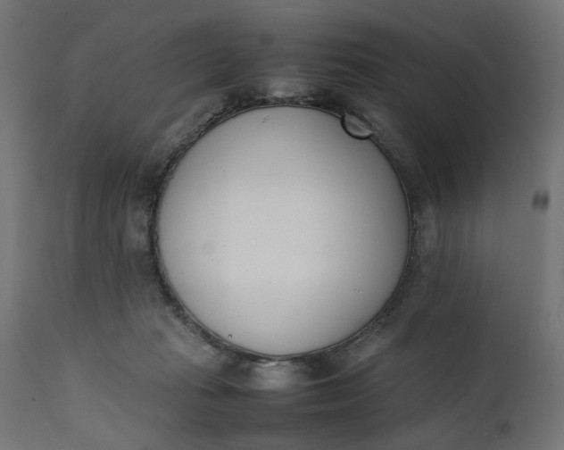 X0000111490269200907281234