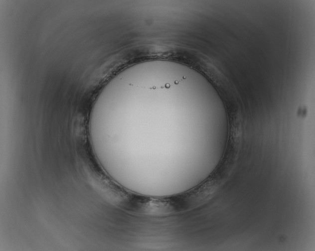 X0000111490270200907281234