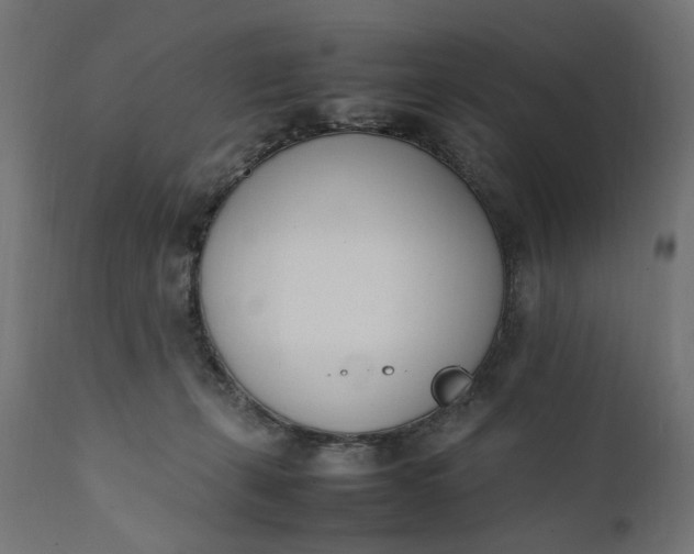 X0000111490271200907281234