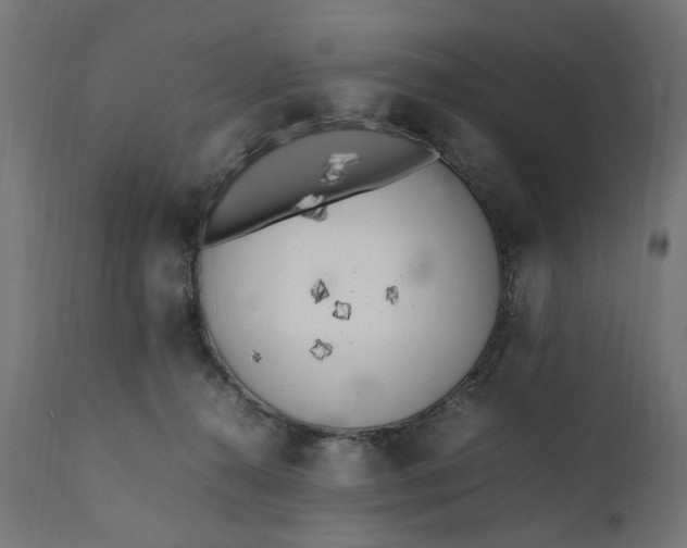 X0000111490272200907281234