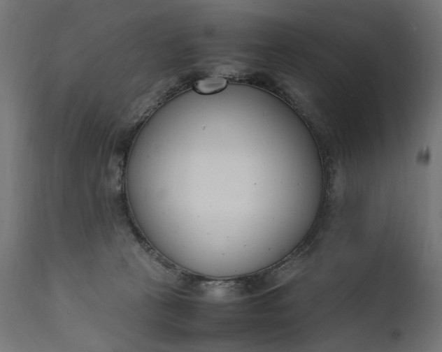 X0000111490273200907281234