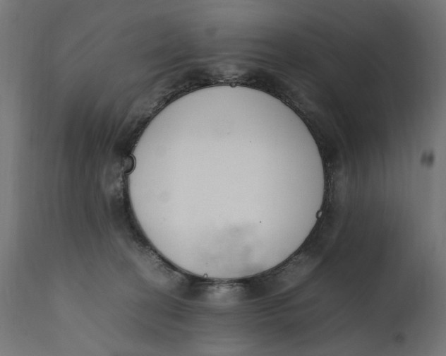 X0000111490274200907281234