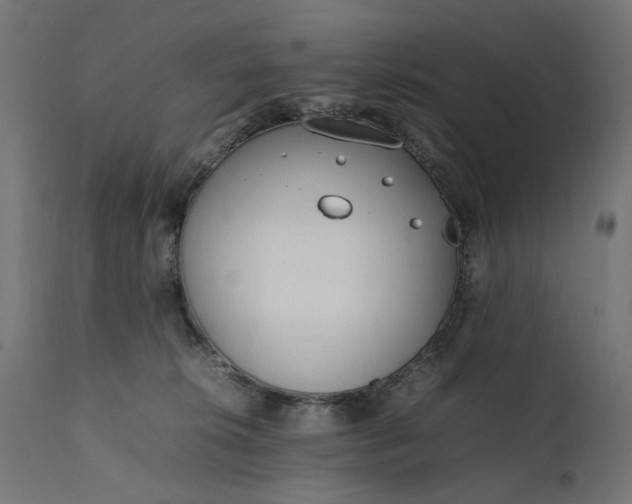 X0000111490276200907281235