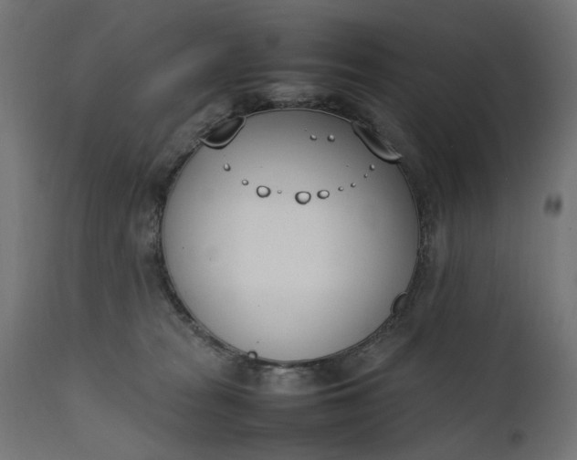 X0000111490277200907281235