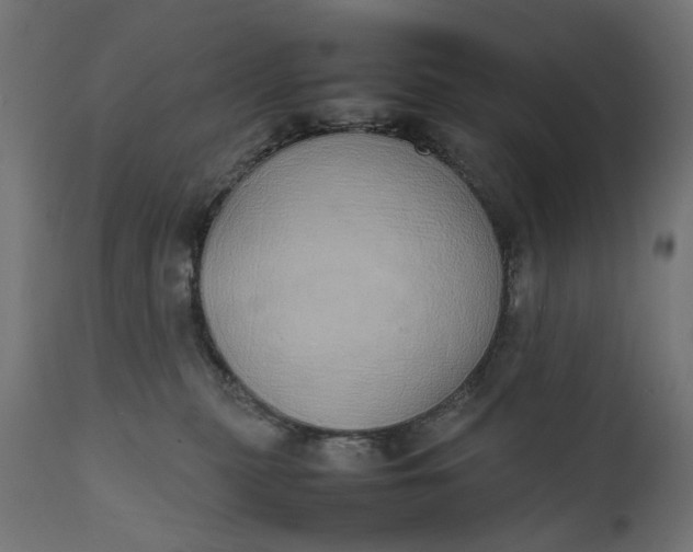 X0000111490279200907281235