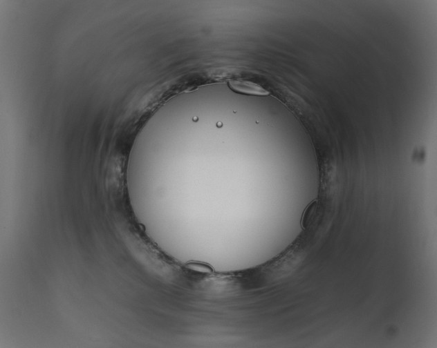 X0000111490280200907281235