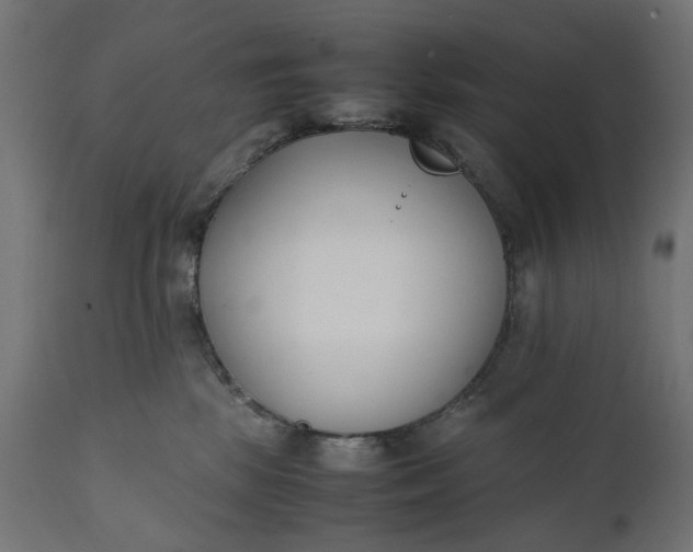 X0000111490281200907281235